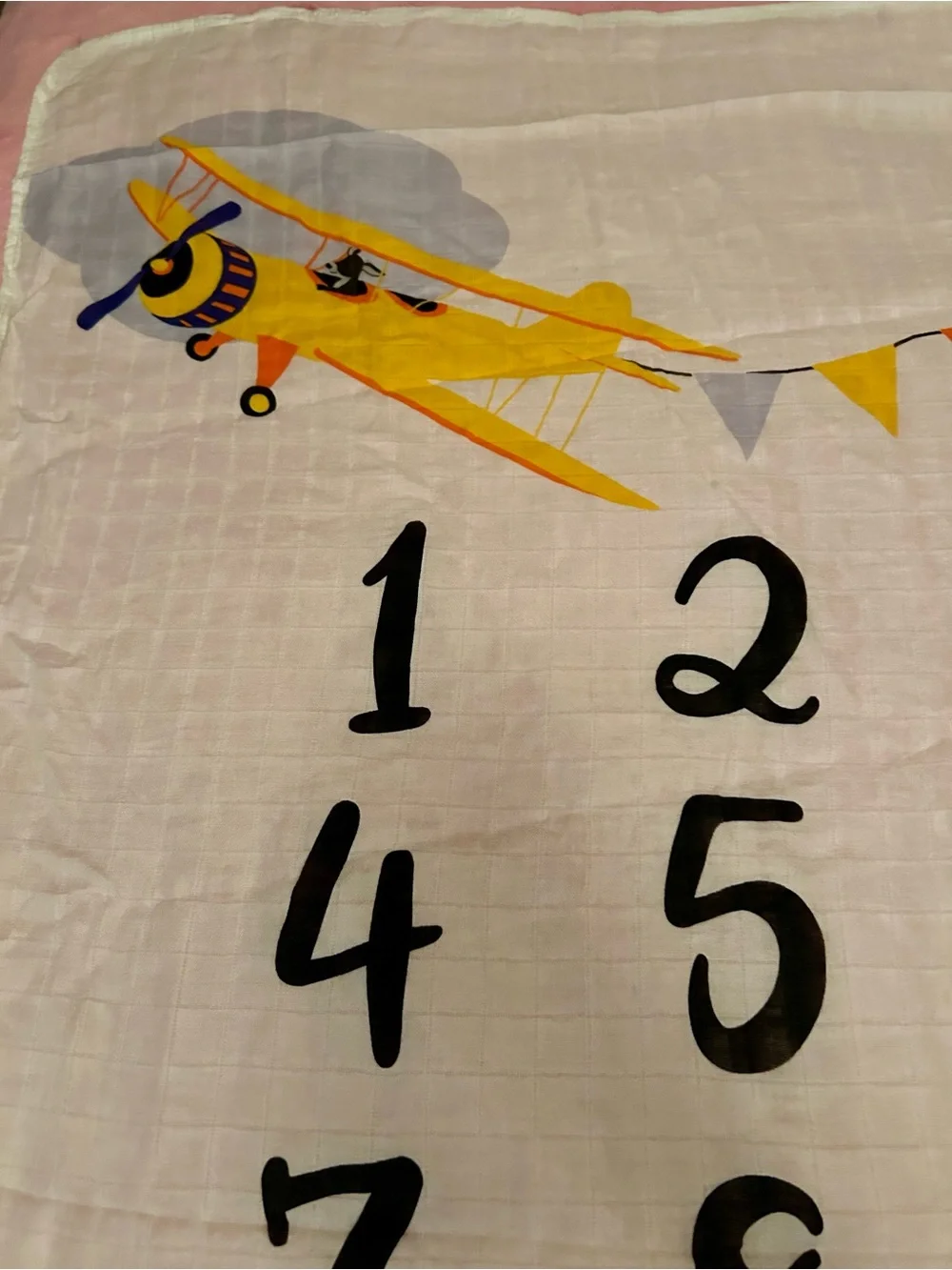 Baby Milestone Muslin/Bamboo Blanket - Airplane Theme ✈️